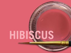 Color Hibiscus