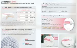 Циркониев диск GEMSTONE 3D AIR NANO TECHNOLOGY 98 x 18 mm  D3